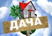 Дачная аптечка – это важно Дачная аптечка – это важно