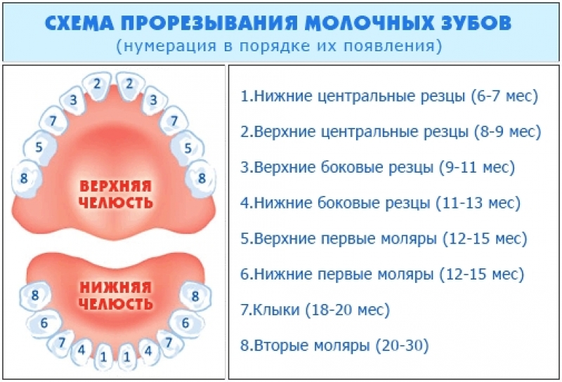 тар.jpg тар.jpg